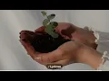 Alikiba natubu official lyces 