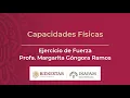 Download Lagu Propuesta de ejercicios de fuerza para Personas Mayores