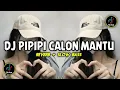 Download Lagu DJ PIPIPI CALON MANTU X KADANG DI KADANG FULL BASS || VIRAL TIK TOK TERBARU 2022