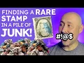 I Found a Hidden Stamp Worth a Fortune