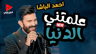 احمد الباشا بيغني موال رايق      علمتني الدنيا مع شوية حظ لوز العنب دندنها