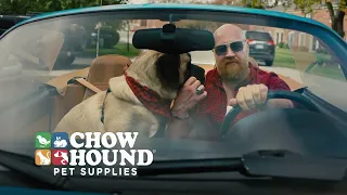 Chow Hound Stella 2