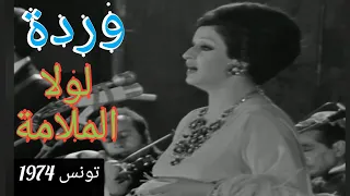 وردة في رائعة لولا الملامة وبصمة عبد الوهاب 