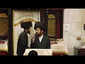 Historic Techeiles Event this Chol Hamoed in Beis Medrash Mateh Efrayim in Boro Park