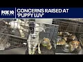 AZ Humane Society responds to complaints on dog rescue