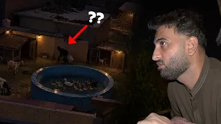 Rat K Time Mini Zoo Main koe Ghus Aya kia😰