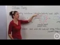 Collision Theory
