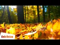Download Lagu 10 Hours of Relaxing Music - Sleep Music, Cello \u0026 Piano Music for Stress Relief (Zoe)