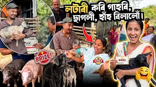 কোনে কি পালে?  🐷🐐🦆 Supporting families with pigs, goats & ducks for farming  ❤️🙏