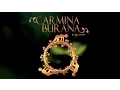 Download Lagu Pro Musica \u0026 Poly Hymnia - Carmina Burana 21 november 2015 MCO Hilversum