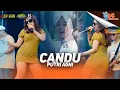 Download Lagu PUTRI AGNI - CANDU I (LIVE ONE PRO X IMA PRODUCTION) || PEMUDA DC AWESOME CURAHJATI