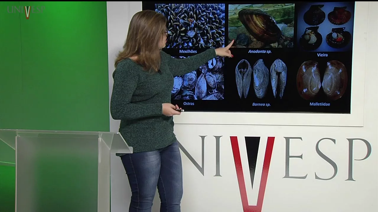 Zoologia de Invertebrados - Aula 14 - Mollusca II - Classe Bivalvia