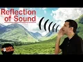 Reflection of Sound Physics