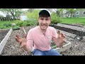 7 Reasons Your Plants are Growing Slowly