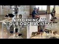 A Morning in the Life of Dog Facility Owners - Dog Boarding Daycare Training Wholesome VLOG