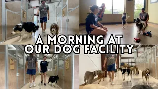 A Morning in the Life of Dog Facility Owners - Dog Boarding Daycare Training Wholesome VLOG