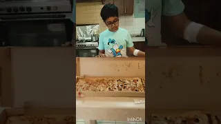 PIANO PIZZA BY MAESTRO PIZZA Zaroon Umaiza 