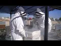 See What the Buzz is About North Kern State Prison launches unique rehabilitation program