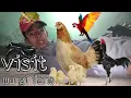 visit murgi farm and garden craigslist feeds murgifarmandgardencraigslistfeeds