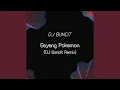 Download Lagu Goyang Pokemon (DJ Buncit Remix)