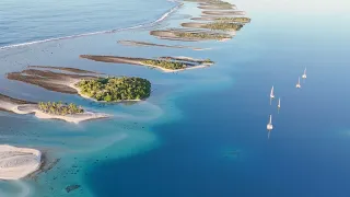 This Is Why We Crossed The Pacific