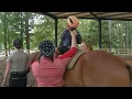 Chastain Park horse park offers equine therapy WSB-TV