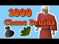 OSRS Loot From 1 000 Chaos Druids 2021