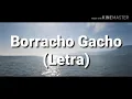 Download Lagu Borracho Gacho