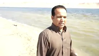 ميلادالقذافى من يوم دندنها