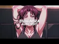 Lagu bilionera(slowed) - otilia [edit audio]