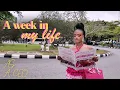 Download Lagu A WEEK IN MY LIFE AS A CEO 💖- The Shine Cartel’s First Pop-up Store in Lagos 🇳🇬