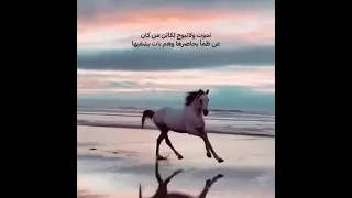 وما ادراك ما الروح 