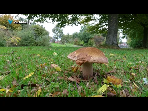 Herfst 2021