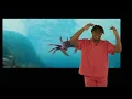 Under the Sea (From "The Little Mermaid"/British Sign Language Version)