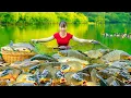 Download Lagu Rewind Timelapse - Harvesting A Lot Of Big Fish Goes To Market Sell - Take Care Vegetable