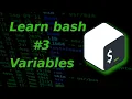 Learn bash scripting 3 Variables