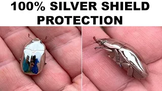 BUGS MEMES
