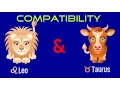 Leo Taurus Sexual Intimacy Compatibility