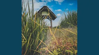 dj baddhe di pontang pantingke aku cah bakohh remix 