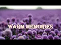 Lagu 3 Hours Relaxing Music - Warm Memories (Romantic, Wedding, Emotional   Calm)