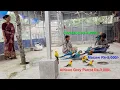 Download Lagu Macaw, Cockatoos \u0026 African Grey Parrot Price / Mobile Number Suspended Due To Cyber Complaints.