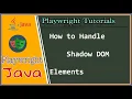 17 Playwright Java How to handle Shadow Dom element