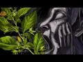 Download Lagu The Natural Horror of Belladonna