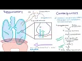Maternal Changes in Pregnancy