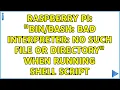 Raspberry Pi bad interpreter No such file or directory when running shell script