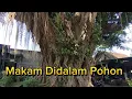 Keramat Makam Didalam Pohon Beringin Raksasa Tidak Mempan Di Bom Dan Ditebang