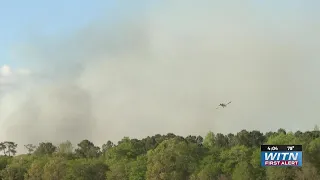 Burn ban lifted on national forests