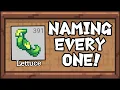 Naming MORE NEW Toys