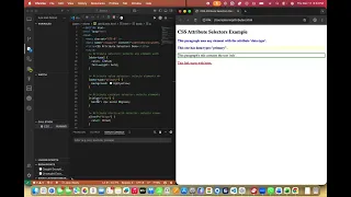 CSS Attribute Selectors