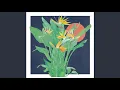Christopher Stracey - Beginning, Becoming